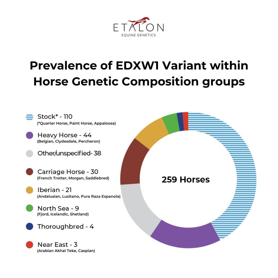 EDXW1 Chart