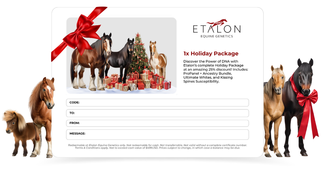 Etalon Equine DNA Test Gift Certificate
