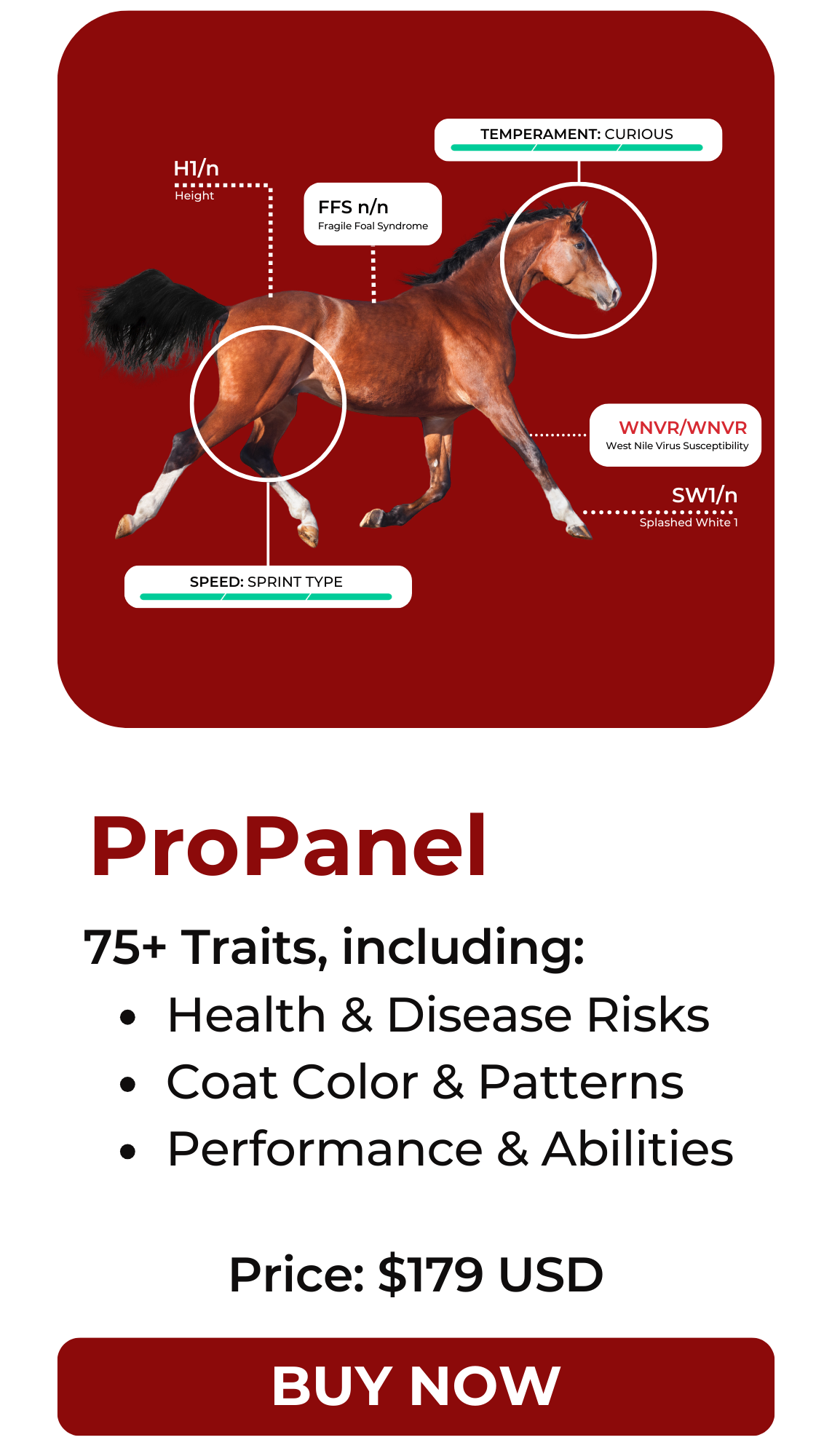 ProPanel Equine DNA Test