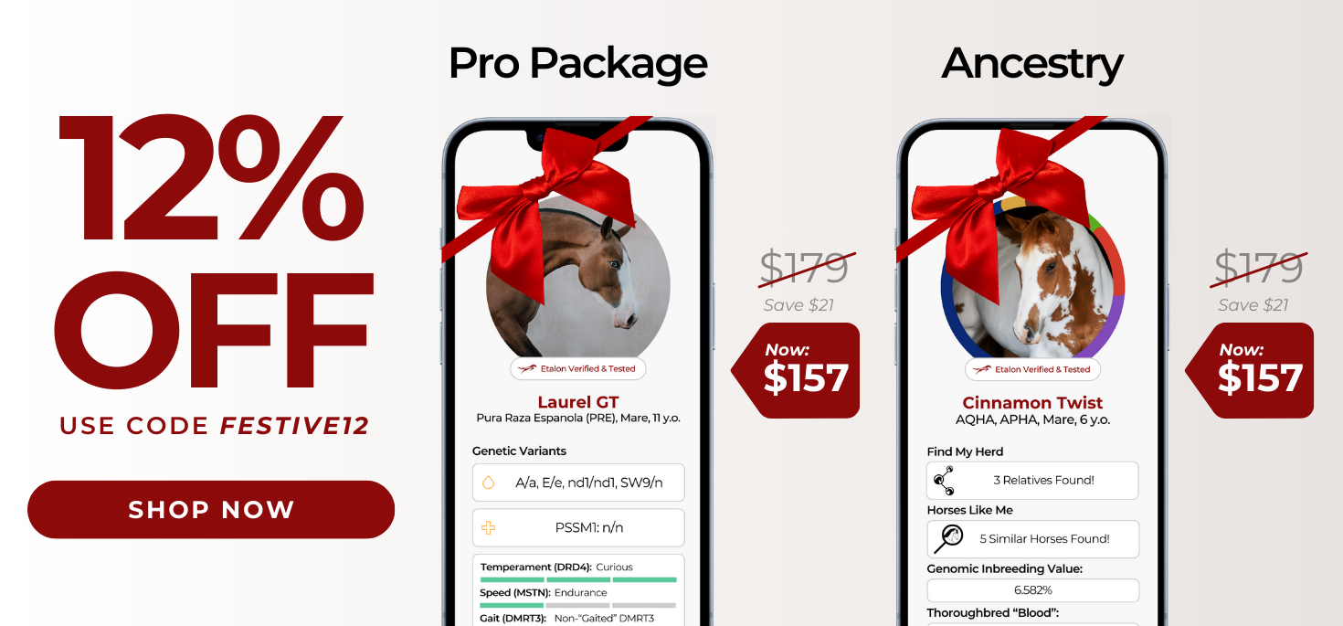 12% Off Pro Package and Ancestry Package until Dec 25, 2024