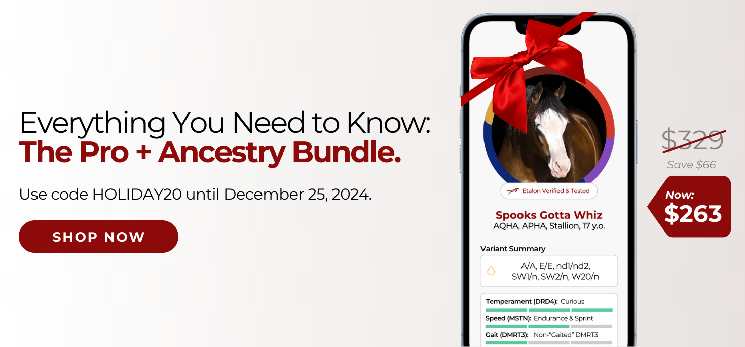 20% Off Pro + Ancestry Bundle until Dec 25, 2024