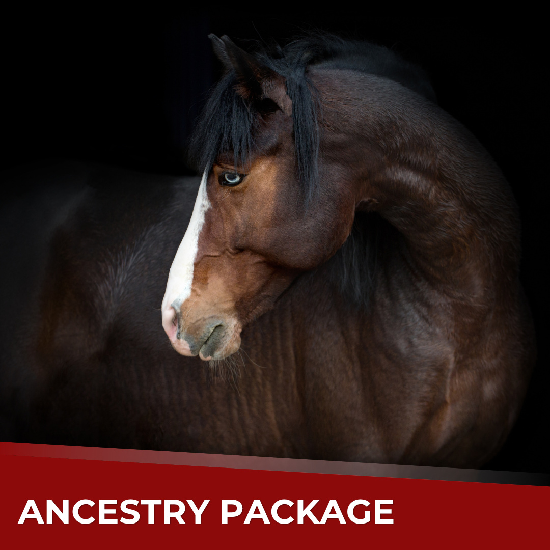 Ancestry Test by Etalon Equine Genetics