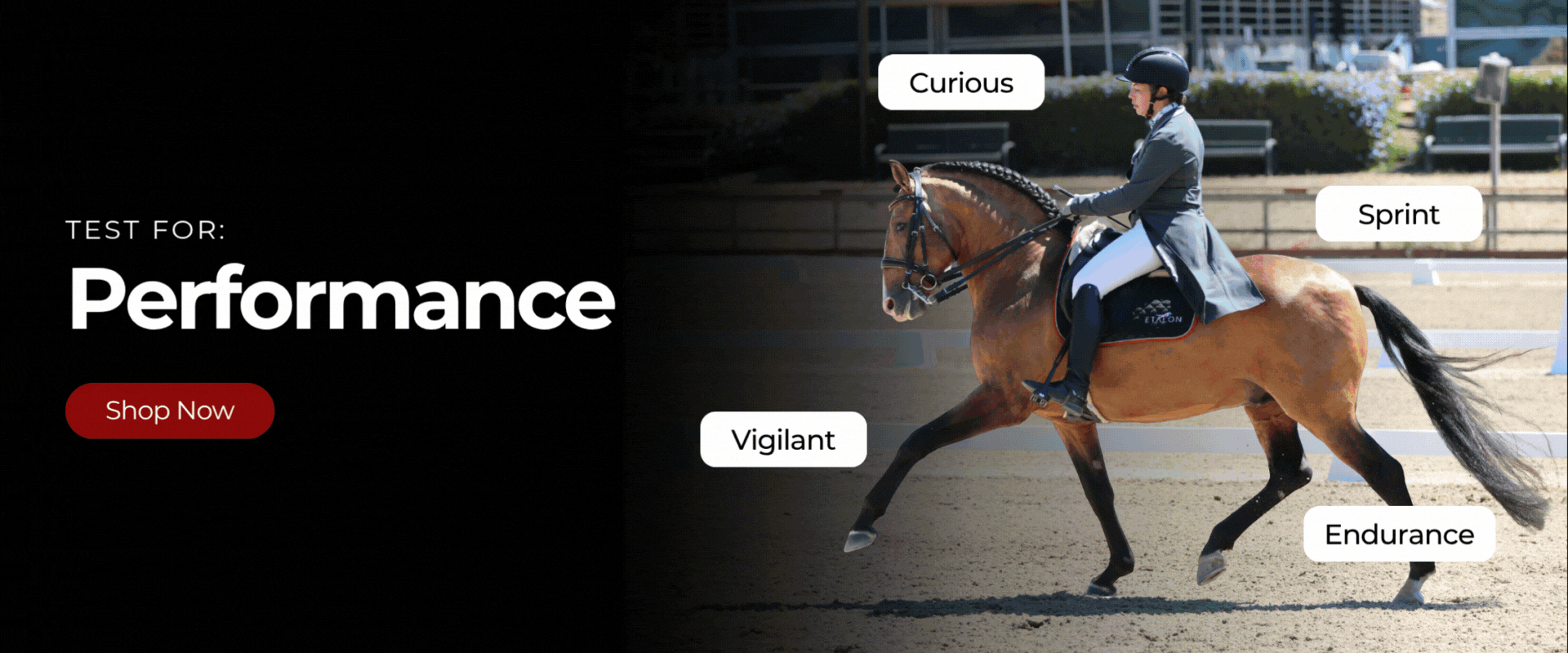 Test for Performance, Health, Suitability, and more.