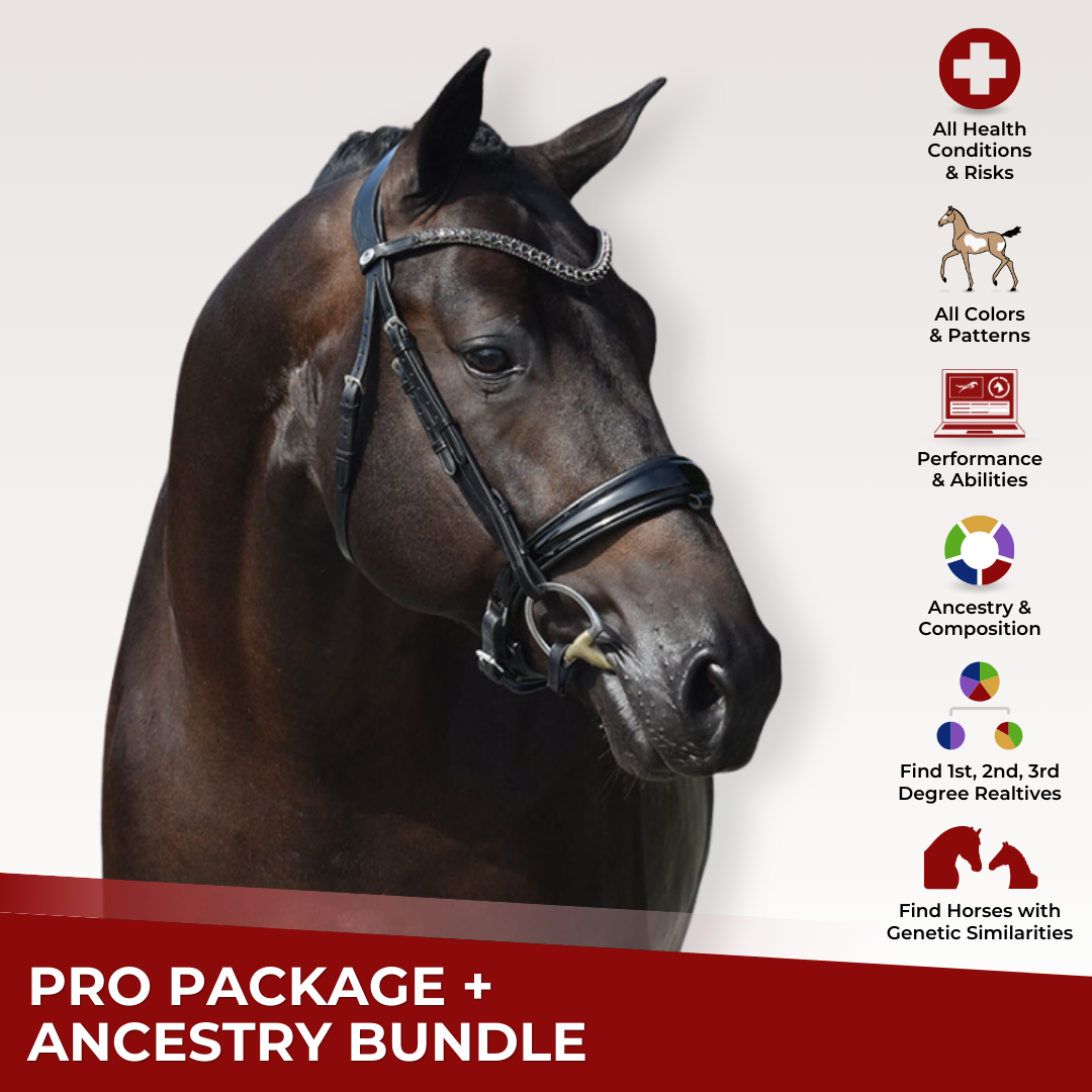 Pro+Ancestry Bundle