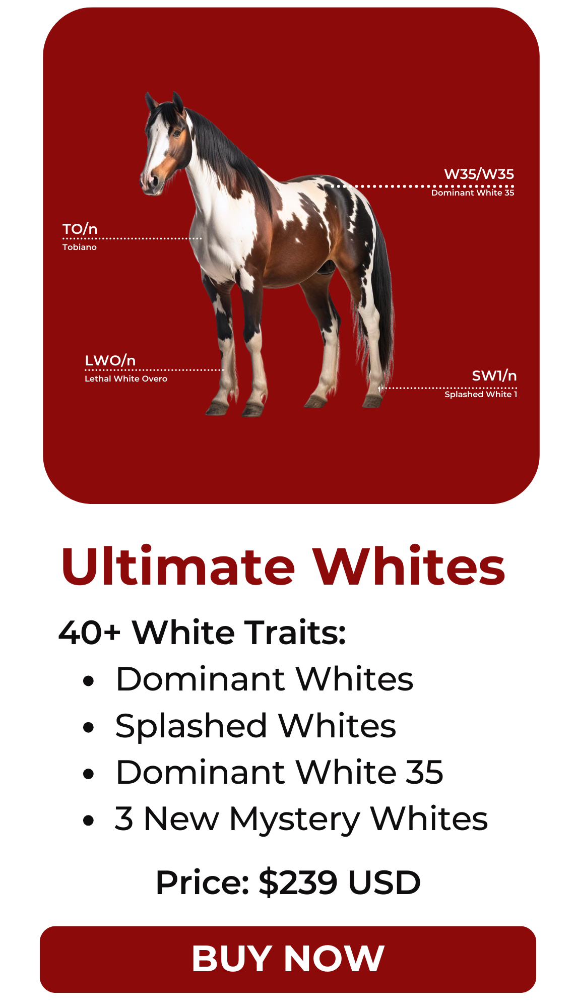 Ultimate Whites